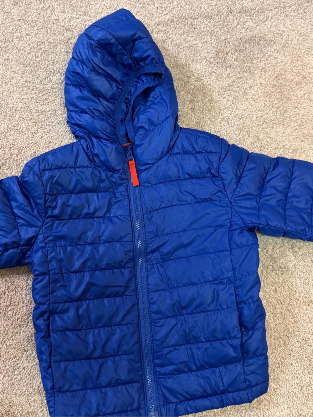 Primary Royal Blue Hooded Puffer Jacket for Kids